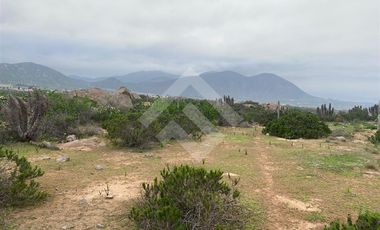 Sitio en Venta en El Panul