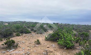 Sitio en Venta en El Panul