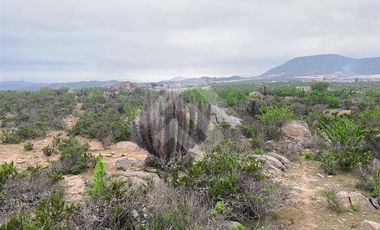 Sitio en Venta en El Panul