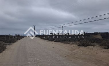 Sitio en Venta en El Panul