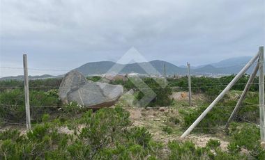 Sitio en Venta en El Panul