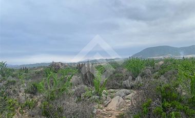 Sitio en Venta en El Panul