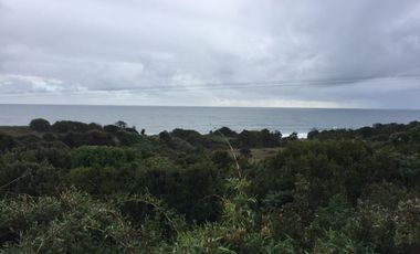 Parcela en Arriendo en Camino a Calfuco