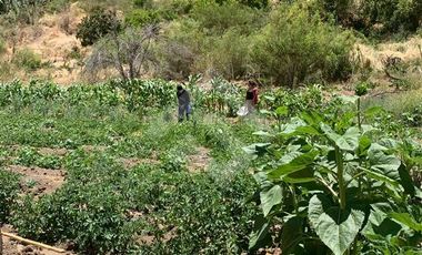 Casa en Venta en Horcón valle de Elqui