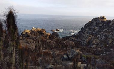 Sitio en Venta en LA HERRADURA COQUIMBO