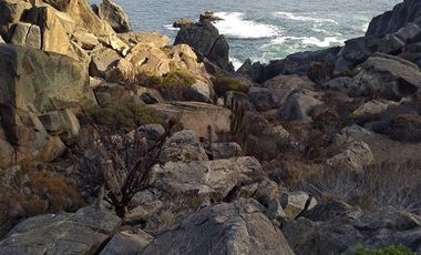 Sitio en Venta en LA HERRADURA COQUIMBO