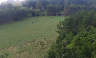 Agrícola en Venta en San Pablo, Sector Trumao