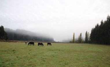 Agrícola en Venta en San Pablo, Sector Trumao