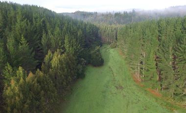 Agrícola en Venta en San Pablo, Sector Trumao