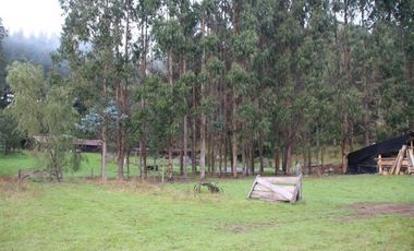 Agrícola en Venta en San Pablo, Sector Trumao