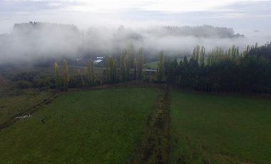 Agrícola en Venta en San Pablo, Sector Trumao