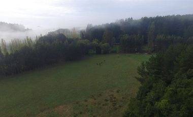 Terreno Construccion en Venta en San Pablo, Sector Trumao