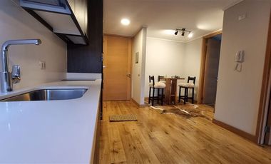 Departamento en Arriendo en Vicente Perez Rosales 977