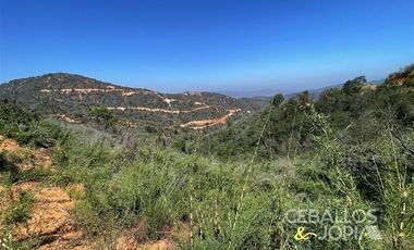 Parcela en Venta en Los Coligues , Quilpue