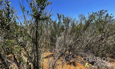 Parcela en Venta en Los Coligues , Quilpue