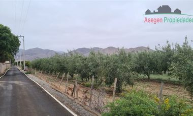 Parcela en Venta en Parcela en venta en sector Piedra Colgada, Fundo San Juan.