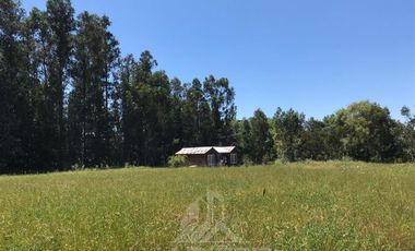 Parcela en Venta en Lo Patricio a orilla de camino