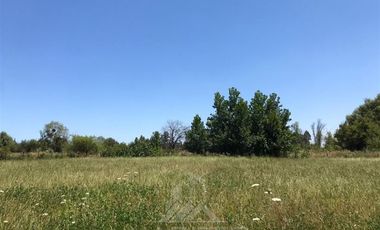 Parcela en Venta en Lo Patricio a orilla de camino