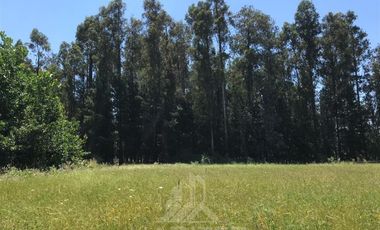 Parcela en Venta en Lo Patricio a orilla de camino