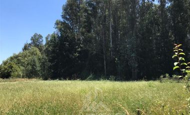 Parcela en Venta en Lo Patricio a orilla de camino