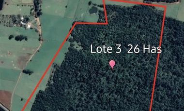 Agrícola en Venta en SECTOR LLICO - FRESIA