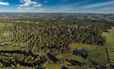 Agrícola en Venta en SECTOR LLICO - FRESIA