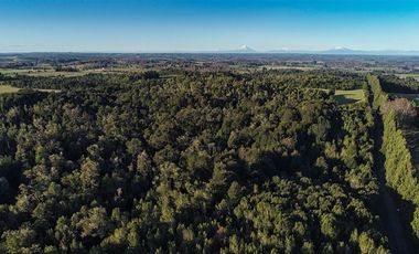 Agrícola en Venta en SECTOR LLICO - FRESIA