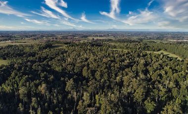 Agrícola en Venta en SECTOR LLICO - FRESIA