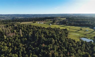 Agrícola en Venta en SECTOR LLICO - FRESIA