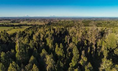 Agrícola en Venta en SECTOR LLICO - FRESIA