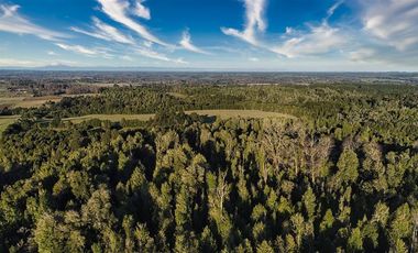 Agrícola en Venta en SECTOR LLICO - FRESIA