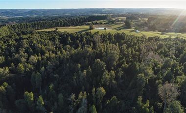 Agrícola en Venta en SECTOR LLICO - FRESIA