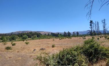 Agrícola en Venta en Se encuentra ubicado a 1,5 km de la carretera 5 sur