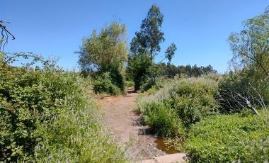 Agrícola en Venta en Se encuentra ubicado a 1,5 km de la carretera 5 sur