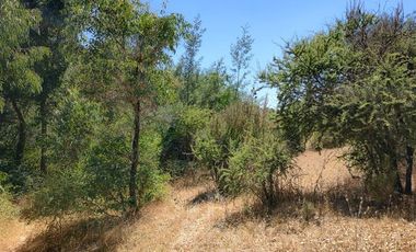 Agrícola en Venta en Se encuentra ubicado a 1,5 km de la carretera 5 sur