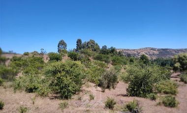 Agrícola en Venta en Se encuentra ubicado a 1,5 km de la carretera 5 sur