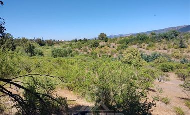 Agrícola en Venta en Se encuentra ubicado a 1,5 km de la carretera 5 sur