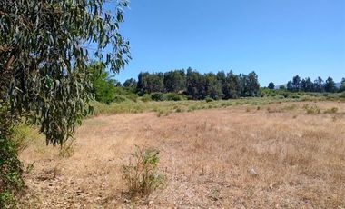 Agrícola en Venta en Se encuentra ubicado a 1,5 km de la carretera 5 sur