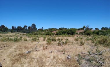 Agrícola en Venta en Se encuentra ubicado a 1,5 km de la carretera 5 sur