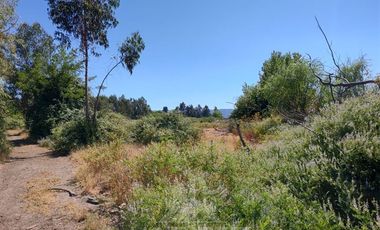 Agrícola en Venta en Se encuentra ubicado a 1,5 km de la carretera 5 sur