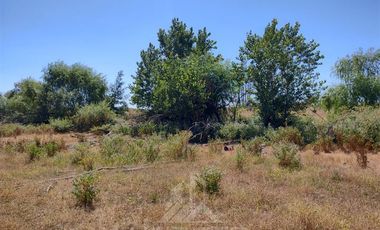 Agrícola en Venta en Se encuentra ubicado a 1,5 km de la carretera 5 sur