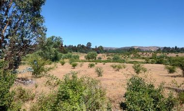 Agrícola en Venta en Se encuentra ubicado a 1,5 km de la carretera 5 sur