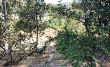 Agrícola en Venta en Se encuentra ubicado a 1,5 km de la carretera 5 sur