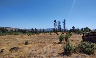 Agrícola en Venta en Se encuentra ubicado a 1,5 km de la carretera 5 sur