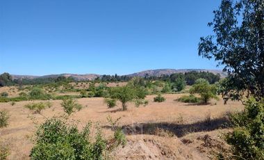 Agrícola en Venta en Se encuentra ubicado a 1,5 km de la carretera 5 sur