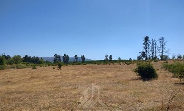 Agrícola en Venta en Se encuentra ubicado a 1,5 km de la carretera 5 sur