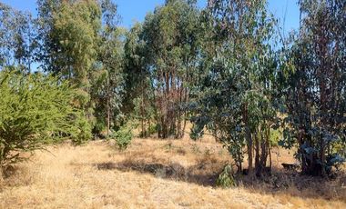 Agrícola en Venta en Se encuentra ubicado a 1,5 km de la carretera 5 sur