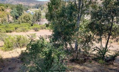 Agrícola en Venta en Se encuentra ubicado a 1,5 km de la carretera 5 sur