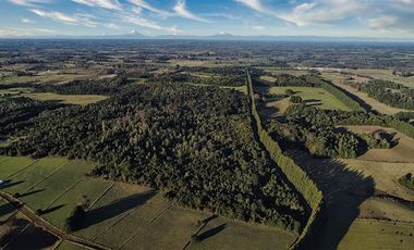 Agrícola en Venta en SECTOR LLICO - FRESIA