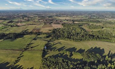 Agrícola en Venta en SECTOR LLICO - FRESIA